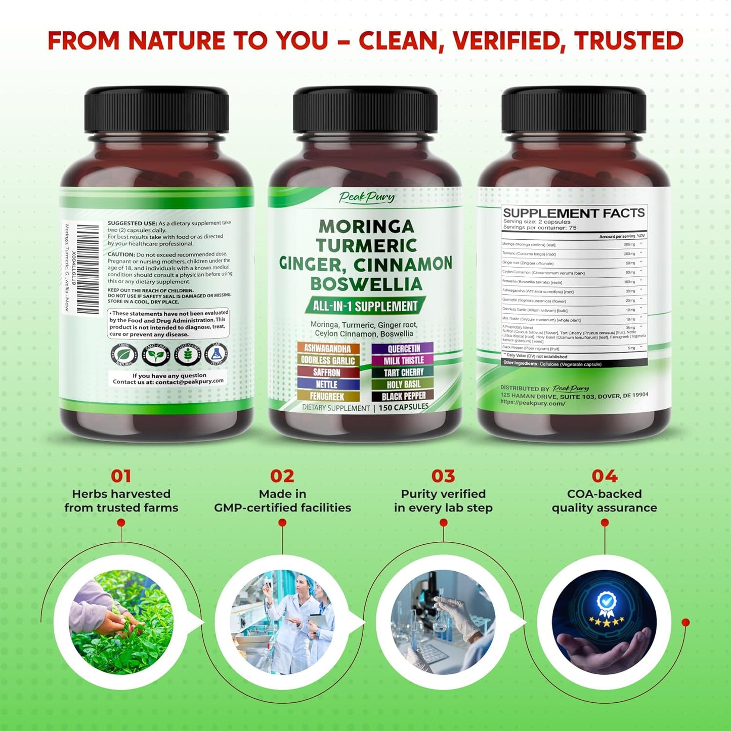 Moringa, Turmeric, Ginger Root, Ceylon Cinnamon, Boswellia - Made in USA