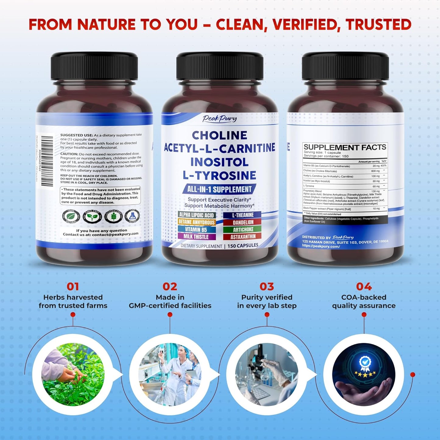 Ultra Choline, Acetyl-L-Carnitine, Inositol & L-Tyrosine – Daily Supplement for Executive Focus & Metabolic Harmony – Made in The USA – 150 Capsules