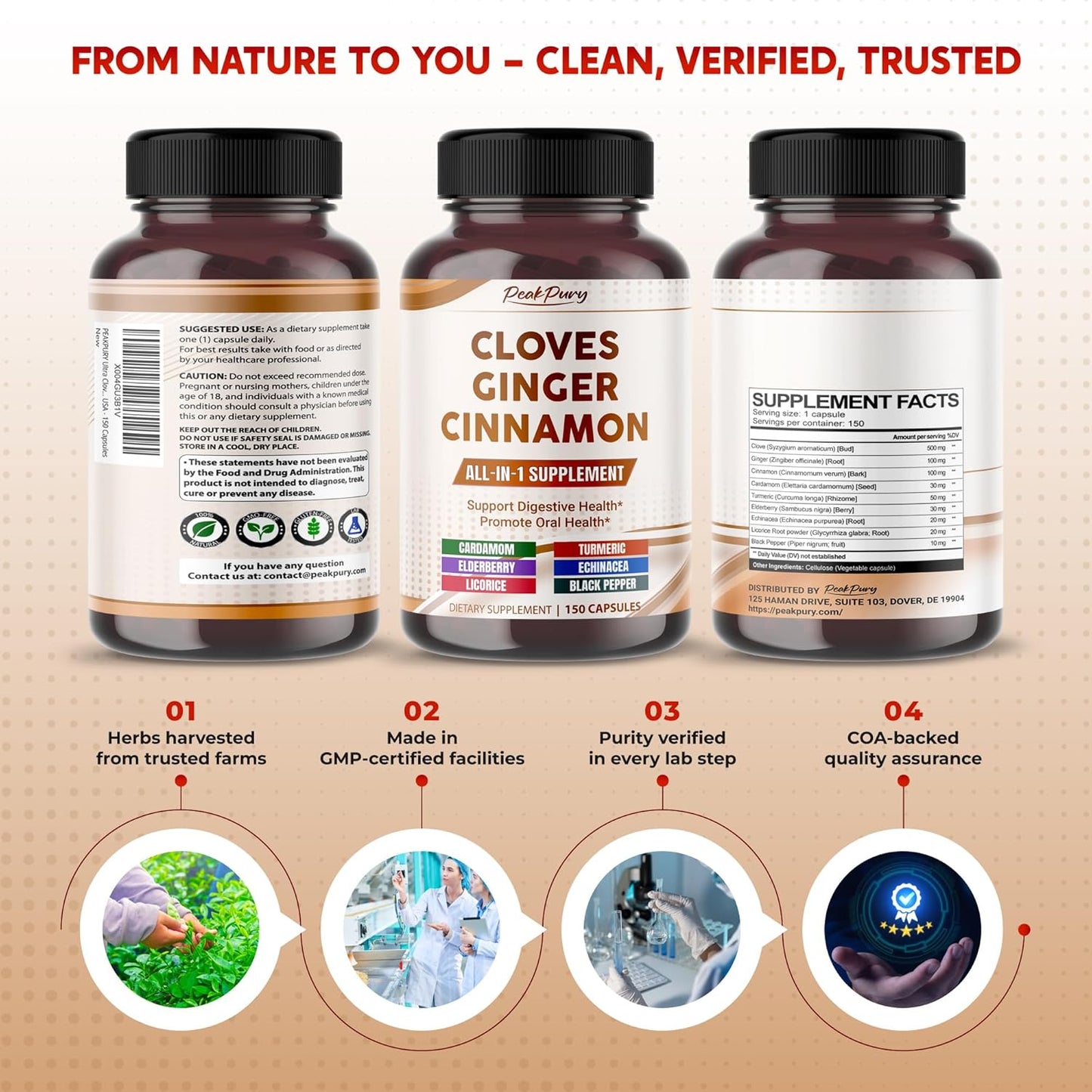 Ultra Cloves with Ginger & Cinnamon - All-in-1 Supplement for Digestive & Oral Health Support - Made in The USA - 150 Capsules