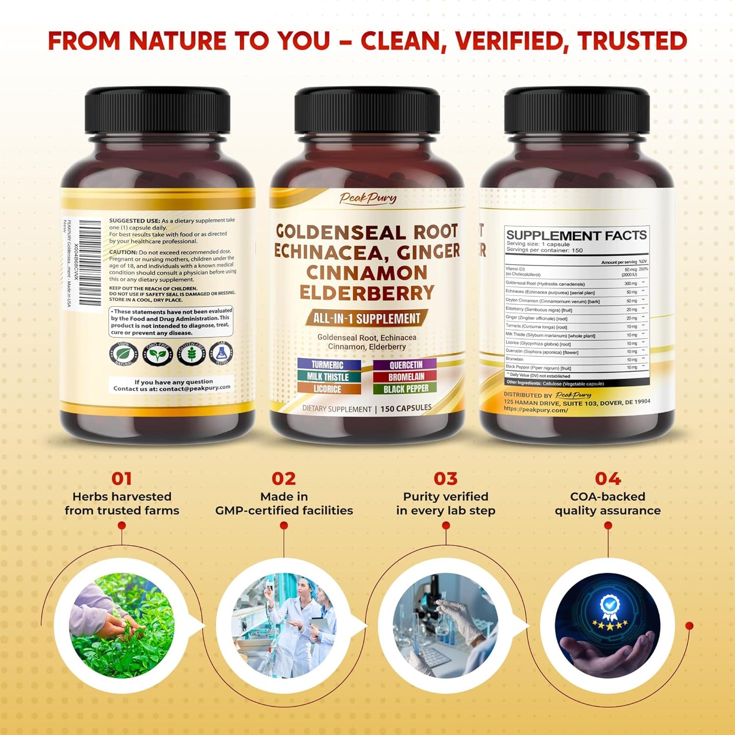 Goldenseal Root Echinacea Cinnamon Elderberry - All-in-1 Supplement - Made in USA