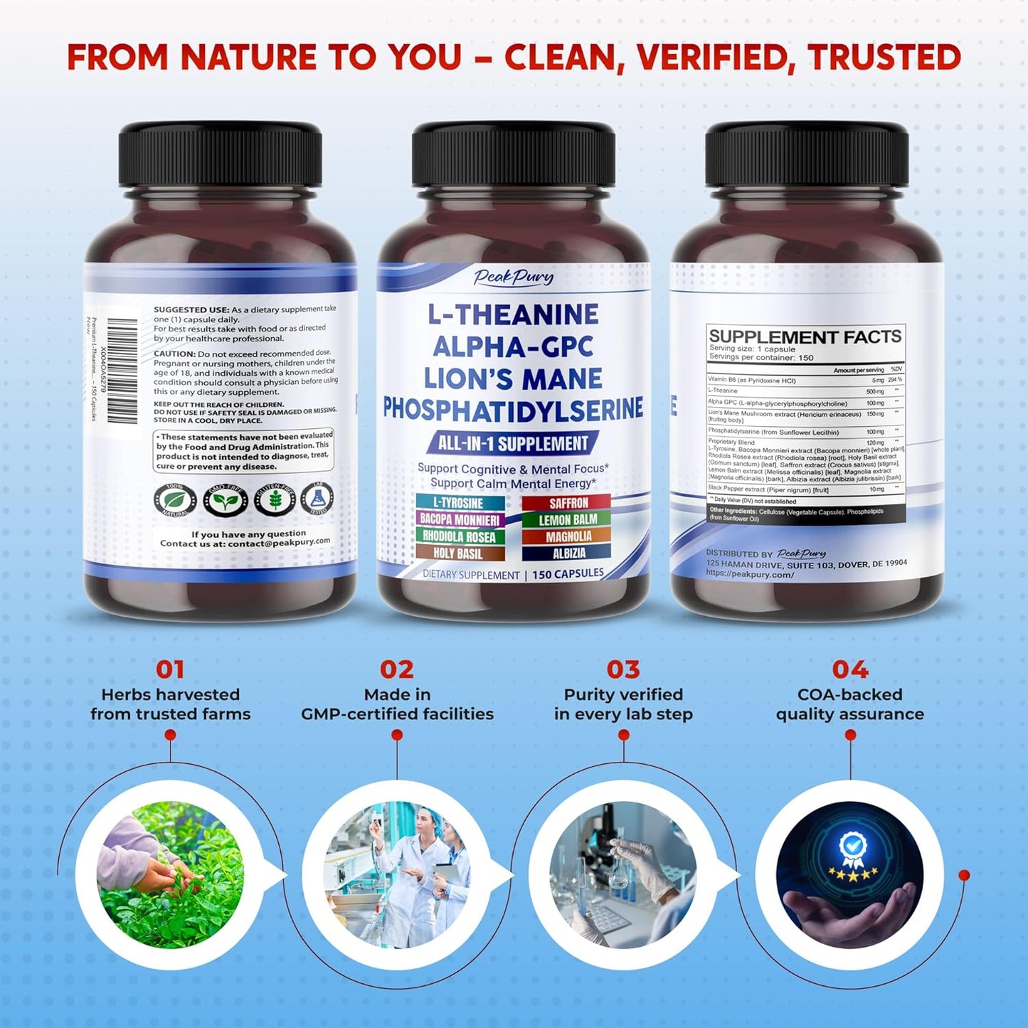 Premium L-Theanine, Alpha-GPC, Lion’s Mane & Phosphatidylserine – Cognitive & Mental Focus Support Supplement – Made in The USA – 150 Capsules