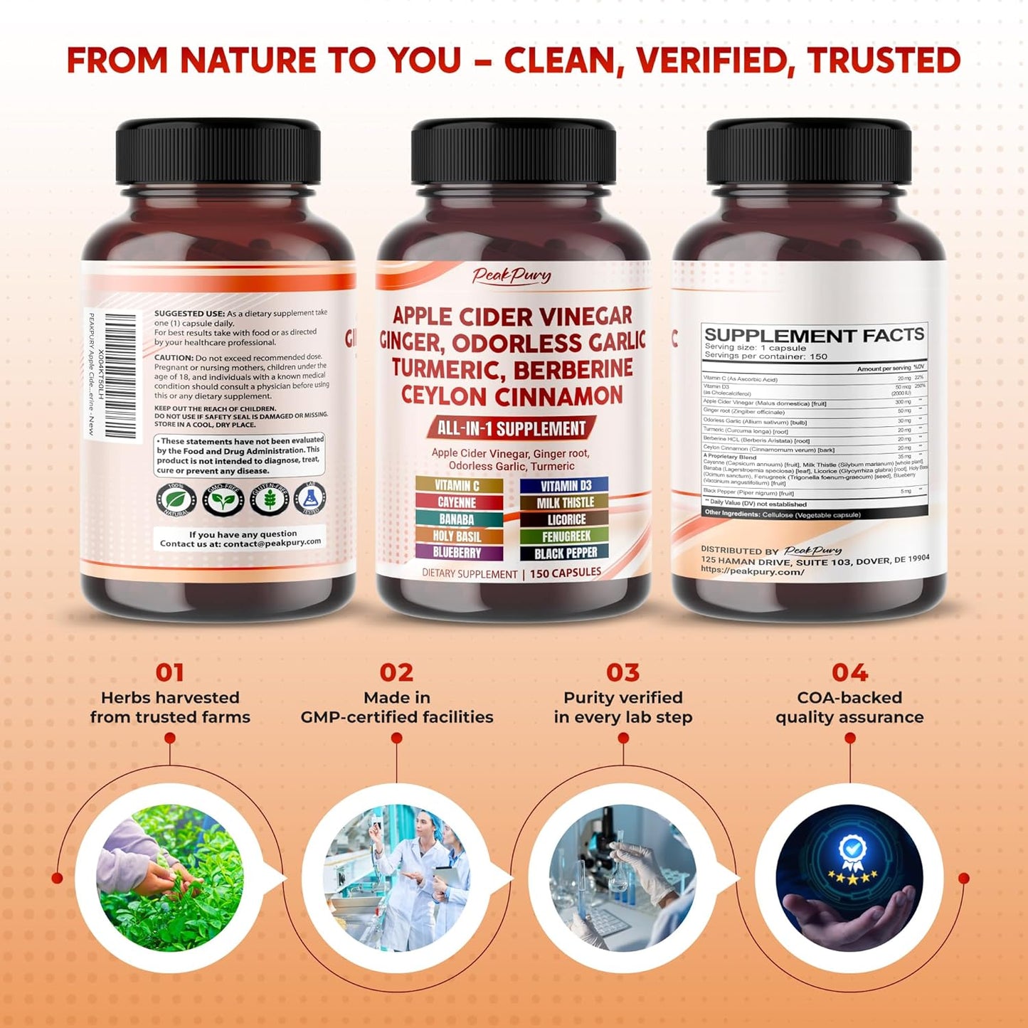 Apple Cider Vinegar Ginger Odorless Garlic Turmeric Berberine - Made in USA