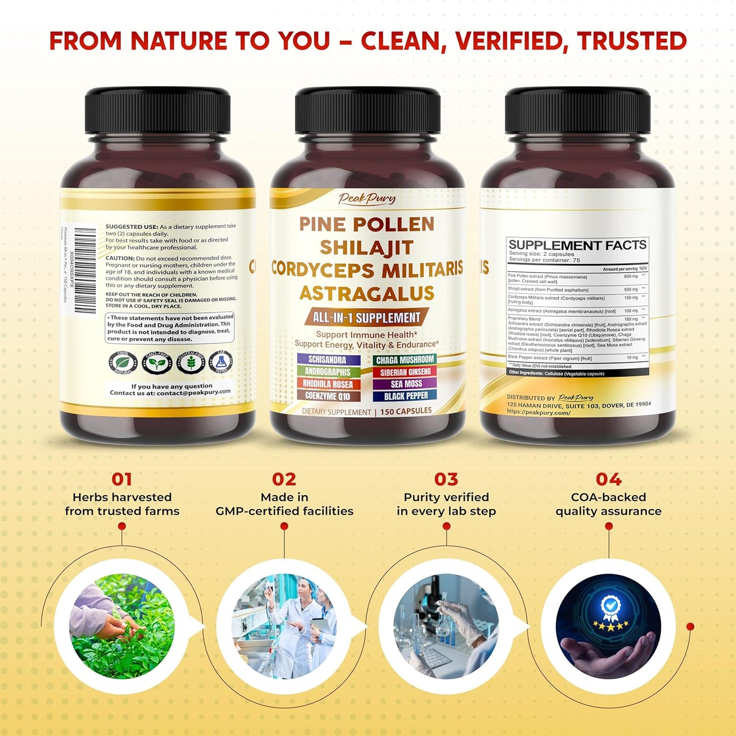 Premium All-in-1 Pine Pollen, Shilajit, Cordyceps & Astragalus – Supports Immune Health, Energy & Natural Endurance – Made in The USA – 150 Capsules