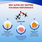 Ultra Alpha GPC, Phosphatidylserine, Uridine & L-Theanine – Nootropic Supplement for Mood, Focus & Mental Clarity – Made in The USA – 150 Capsules