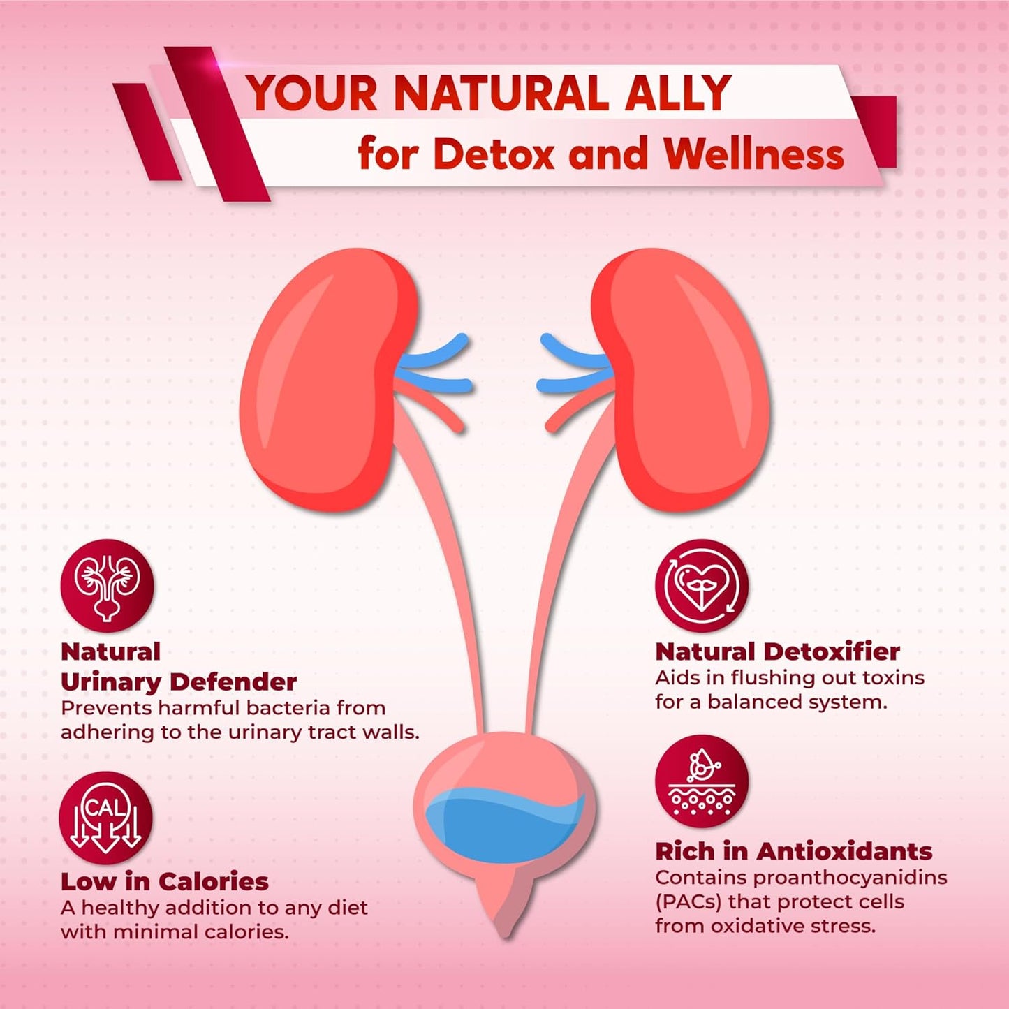 Ultra Kidney Cleanse Detox Supplement- Cranberry, Uva Ursi & Herbal Blend for Kidney Health -Includes Dandelion, Nettle, Juniper Berry - Made in The USA 150 Capsules