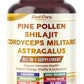 Premium All-in-1 Pine Pollen, Shilajit, Cordyceps & Astragalus – Supports Immune Health, Energy & Natural Endurance – Made in The USA – 150 Capsules