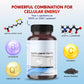 Alpha Lipoic Acid with Vitamin B1 - Supports Antioxidant Health & Healthy Metabolism - Includes Vitamin C, Acetyl-L-Carnitine, CoQ10 - Made in The USA- 150 Capsules
