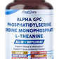 Ultra Alpha GPC, Phosphatidylserine, Uridine & L-Theanine – Nootropic Supplement for Mood, Focus & Mental Clarity – Made in The USA – 150 Capsules