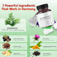 All-in-1 Wormwood Black Walnut Whole Cloves Ginger - Supports Liver Health & Aids Digestion - Made in The USA -150 Capsules