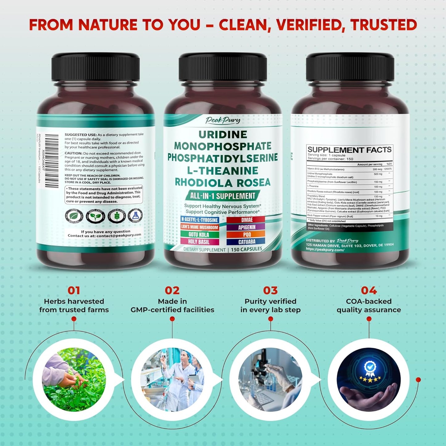 Premium All-in-1 Uridine, Phosphatidylserine, L-Theanine & Rhodiola – Supports Nervous System & Cognitive Performance – Made in The USA – 150 Capsules
