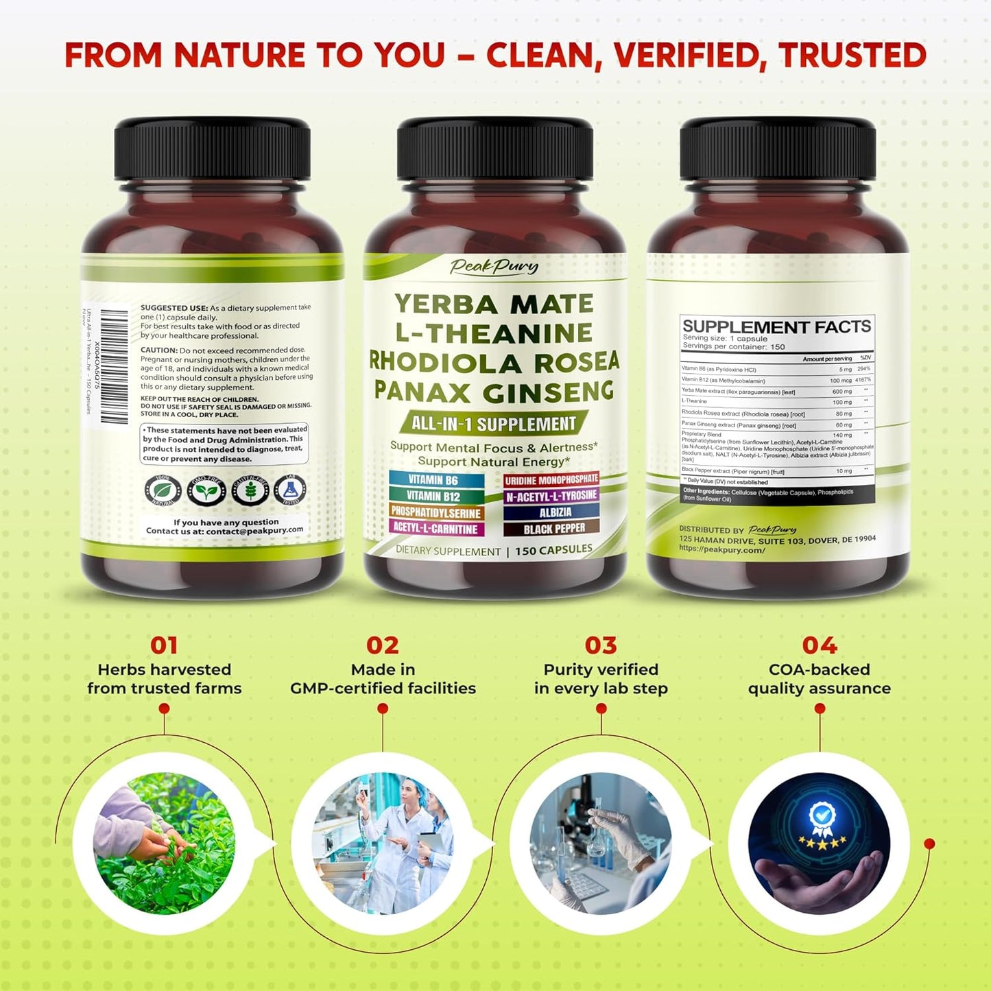 Ultra All-in-1 Yerba Mate, L-Theanine, Rhodiola & Panax Ginseng – Supports Mental Focus & Natural Energy – Made in The USA – 150 Capsules