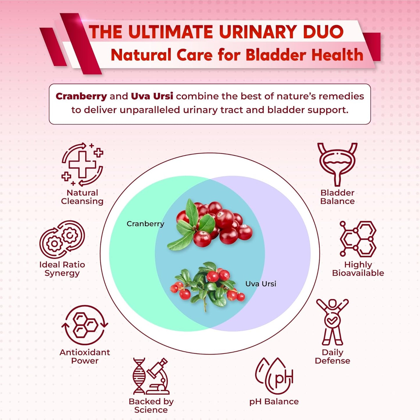 Ultra Kidney Cleanse Detox Supplement- Cranberry, Uva Ursi & Herbal Blend for Kidney Health -Includes Dandelion, Nettle, Juniper Berry - Made in The USA 150 Capsules
