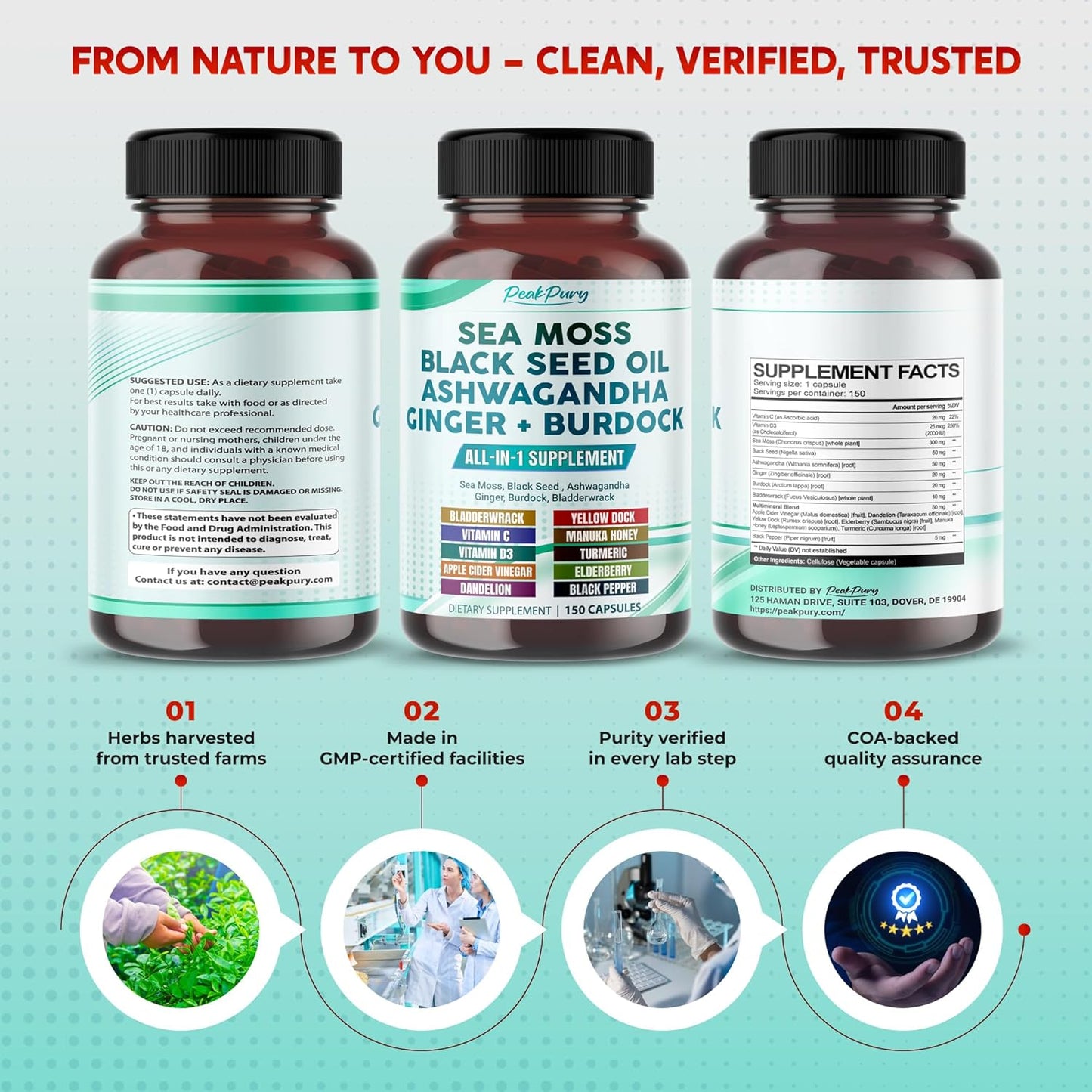 Sea Moss Black Seed Oil Ashwagandha Ginger Burdock Bladderwrack - Immunity Support - Made in USA