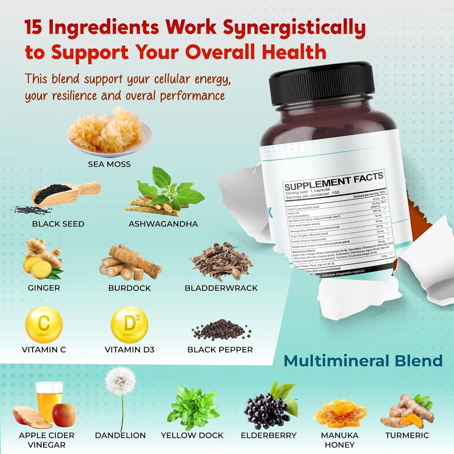 Sea Moss Black Seed Oil Ashwagandha Ginger Burdock Bladderwrack - Immunity Support - Made in USA