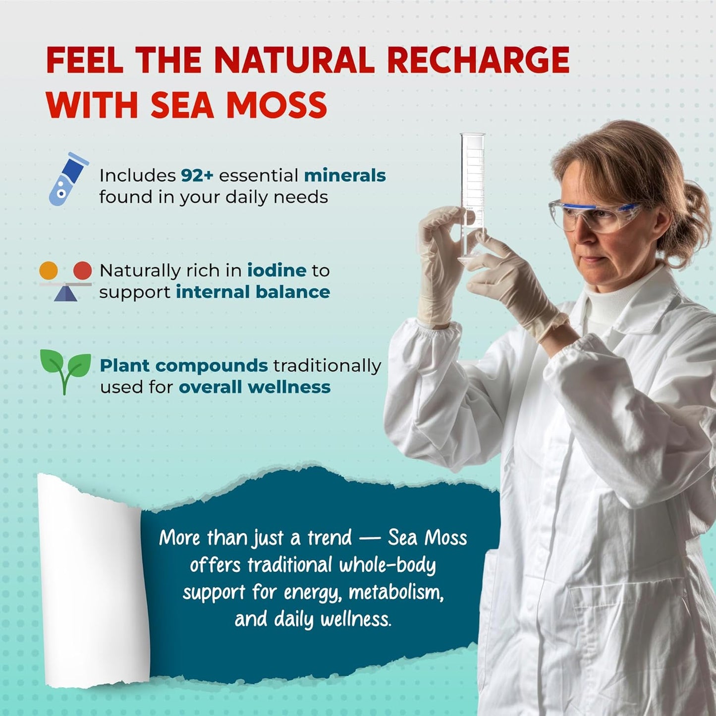 Sea Moss Black Seed Oil Ashwagandha Ginger Burdock Bladderwrack - Immunity Support - Made in USA