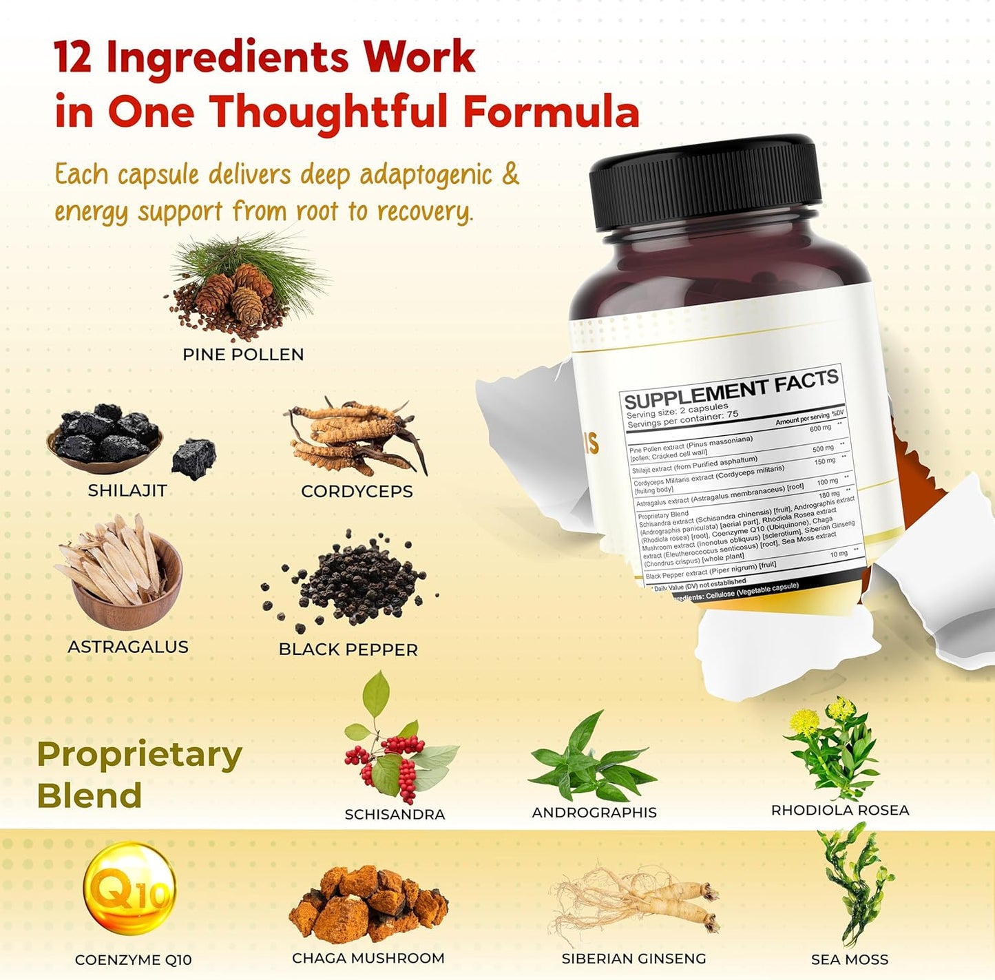 Premium All-in-1 Pine Pollen, Shilajit, Cordyceps & Astragalus – Supports Immune Health, Energy & Natural Endurance – Made in The USA – 150 Capsules