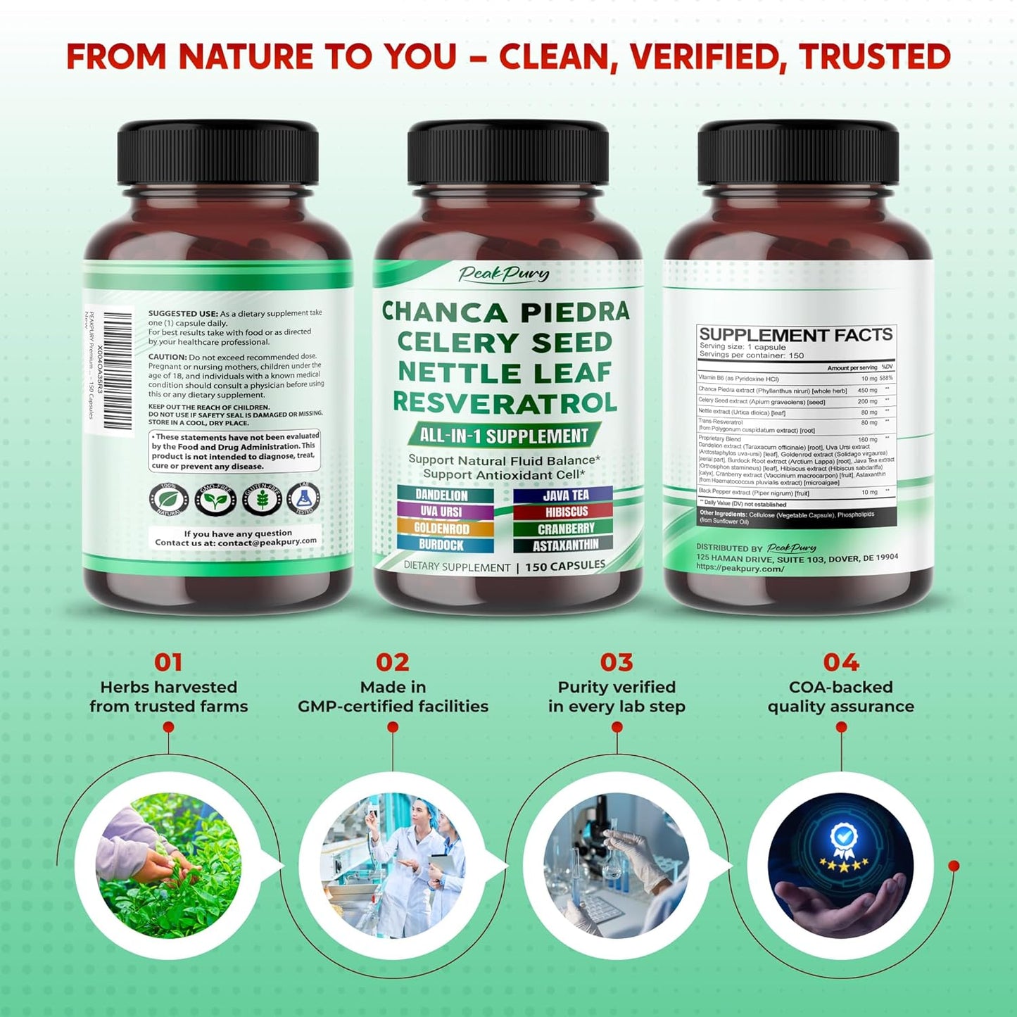 Premium All-in-1 Chanca Piedra, Celery Seed, Nettle Leaf & Resveratrol – Supports Fluid Balance & Antioxidant Cell Protection – Made in The USA – 150 Capsules
