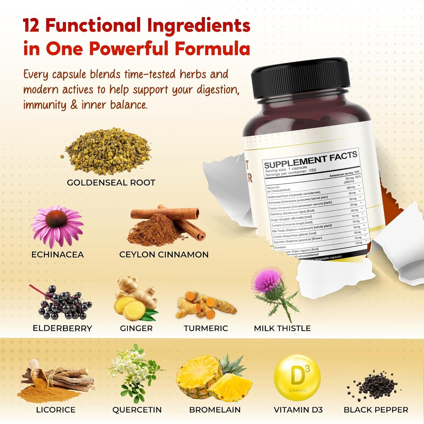 Goldenseal Root Echinacea Cinnamon Elderberry - All-in-1 Supplement - Made in USA