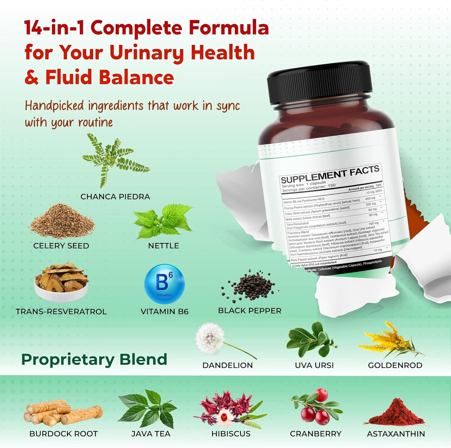 Premium All-in-1 Chanca Piedra, Celery Seed, Nettle Leaf & Resveratrol – Supports Fluid Balance & Antioxidant Cell Protection – Made in The USA – 150 Capsules