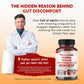 All-in-1 Psyllium, Senna, Inulin & Probiotic Supplement – Supports Digestive Harmony & Gut Microbalance – Made in The USA – 150 Capsules