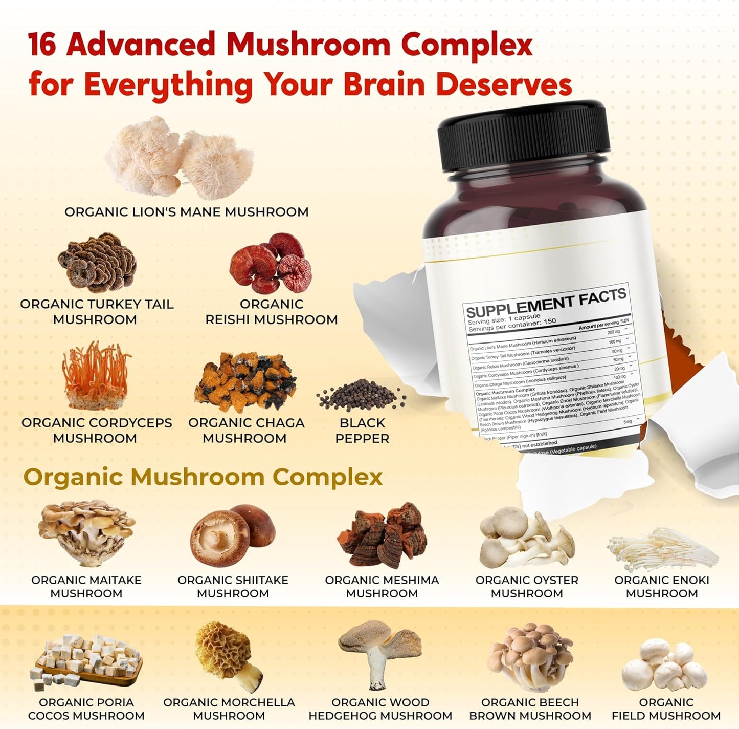 Lion's Mane Turkey Tail Cordyceps Reishi Chaga - Overall Wellness Support- Made in USA
