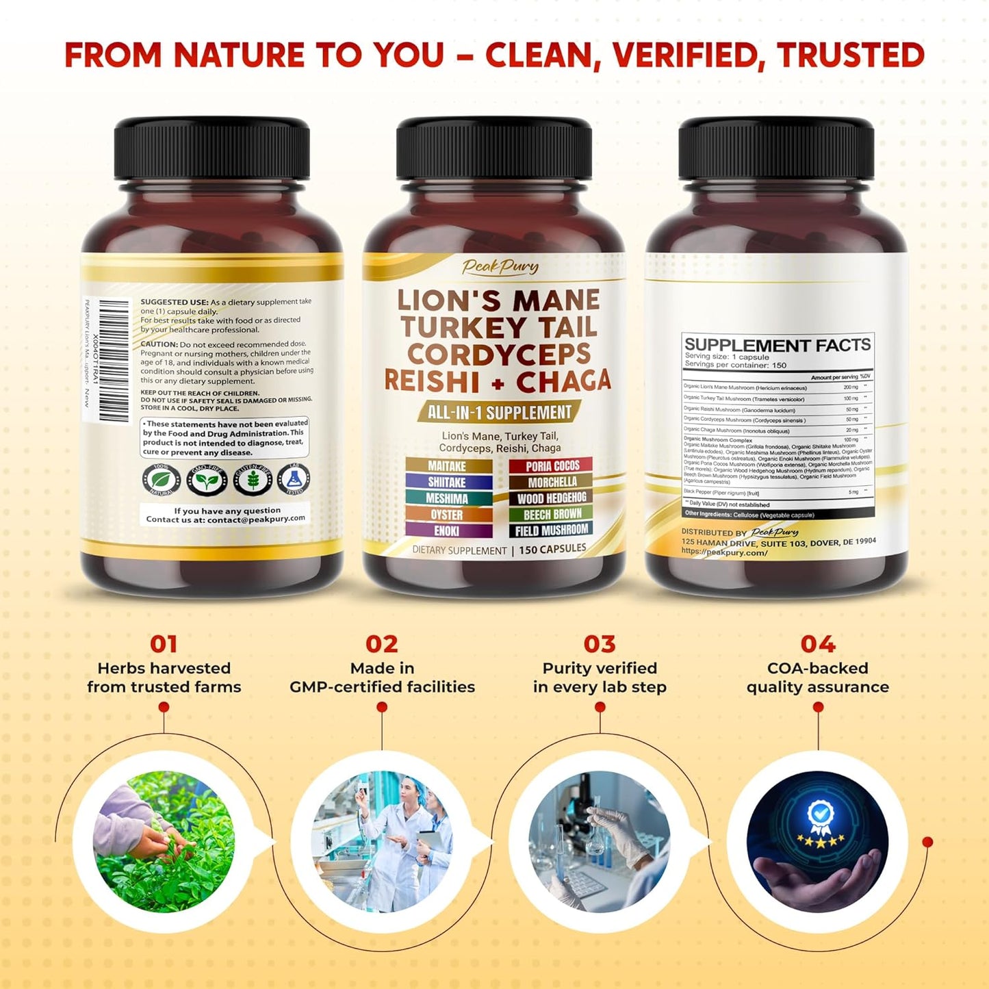 Lion's Mane Turkey Tail Cordyceps Reishi Chaga - Overall Wellness Support- Made in USA