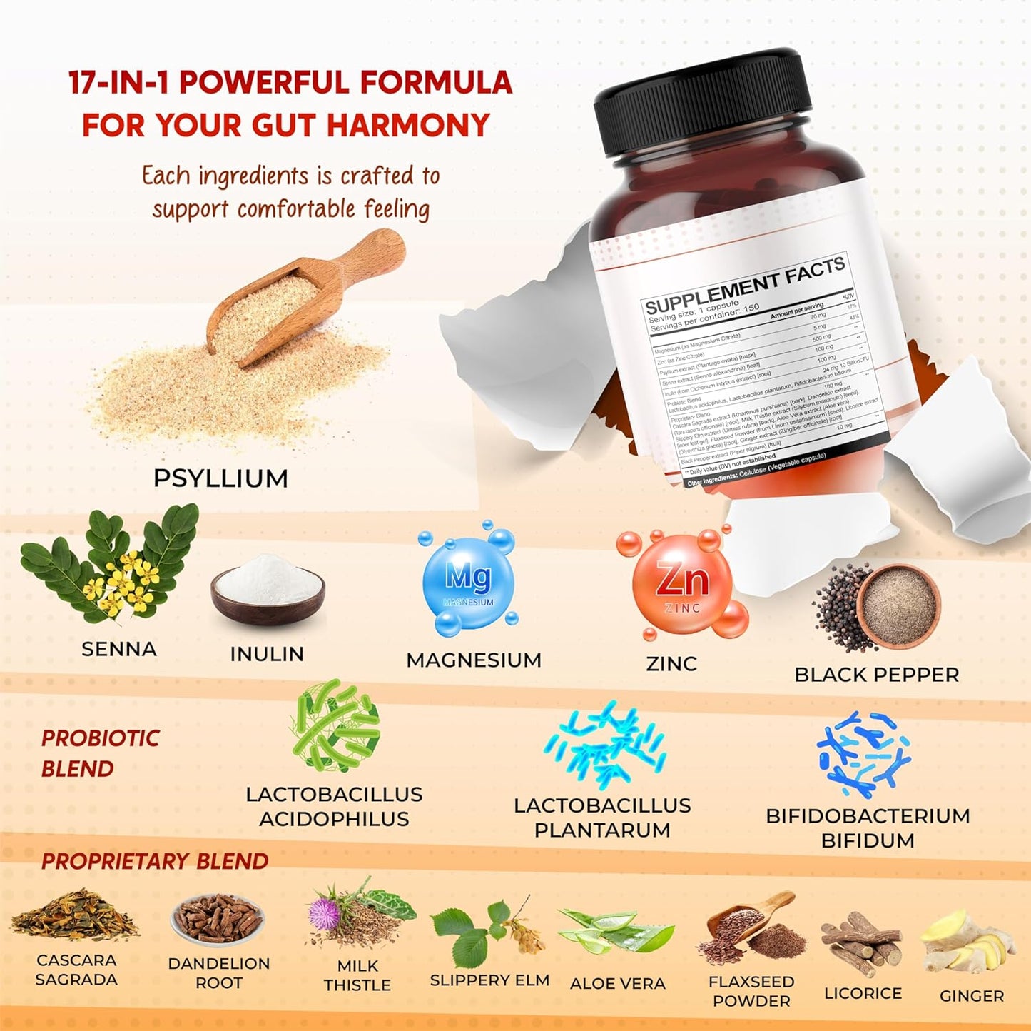 All-in-1 Psyllium, Senna, Inulin & Probiotic Supplement – Supports Digestive Harmony & Gut Microbalance – Made in The USA – 150 Capsules