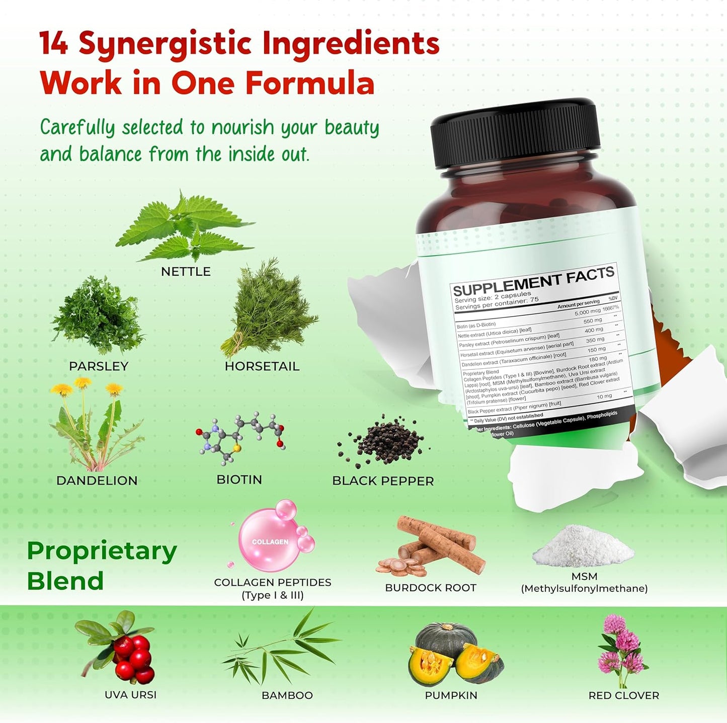 Premium All-in-1 Nettle Leaf, Parsley, Horsetail & Dandelion – Supports Urinary Balance & Hair, Skin, Nail Strength – Made in The USA – 150 Capsules