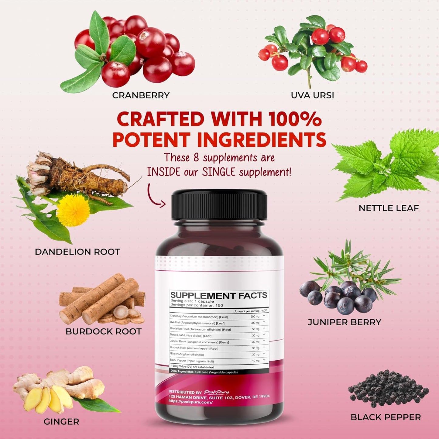 Ultra Kidney Cleanse Detox Supplement- Cranberry, Uva Ursi & Herbal Blend for Kidney Health -Includes Dandelion, Nettle, Juniper Berry - Made in The USA 150 Capsules