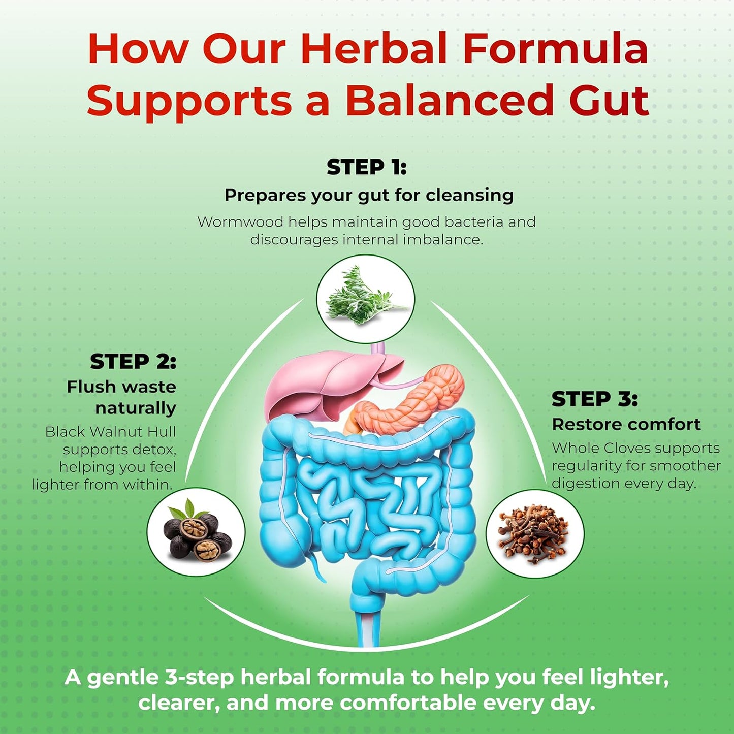 All-in-1 Wormwood Black Walnut Whole Cloves Ginger - Supports Liver Health & Aids Digestion - Made in The USA -150 Capsules