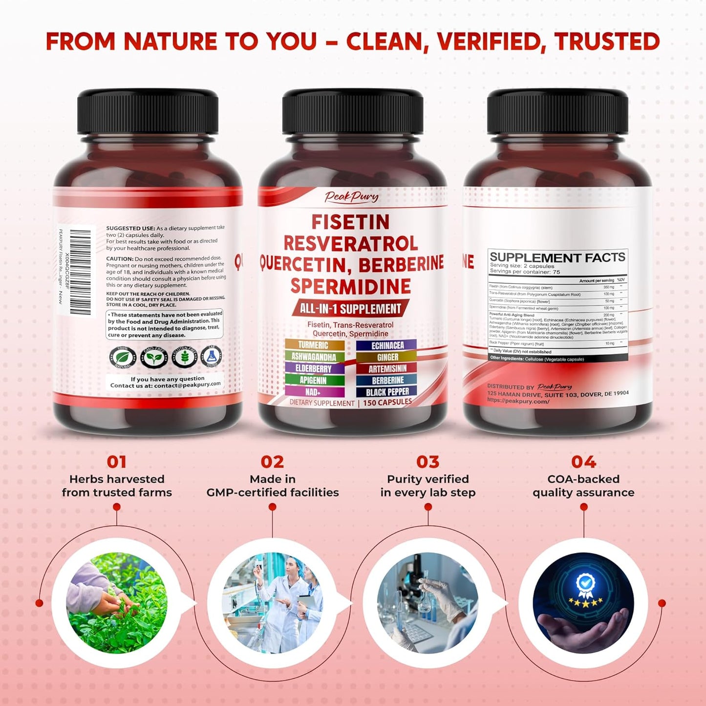 Fisetin Resveratrol Quercetin Elderberry, Echinacea Ashwagandha Turmeric Ginger - Made in USA
