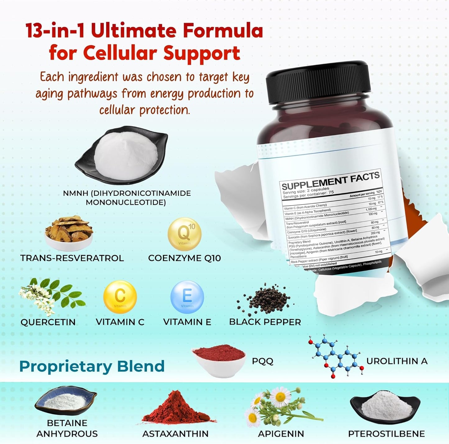 Ultra NMNH 600 mg with Resveratrol, CoQ10, Quercetin, Urolithin A & PQQ – All-in-1 Supplement for Cellular Energy, Healthy Aging & Wellness – 150 Capsules