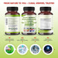 Premium Bacopa, Phosphatidylserine, L-Theanine & Lion’s Mane – All-in-1 Supplement for Focus, Brain Function & Emotional Balance – Made in The USA – 150 Capsules