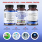 Premium All-in-1 with Huperzine A, Phosphatidylserine, Polygala & Bacopa – 150 Capsules – Made in USA – Non-GMO & Gluten-Free*